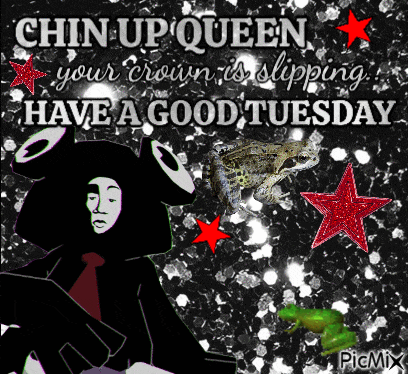 chin up queen your crown is slipping and have a good tuesday
