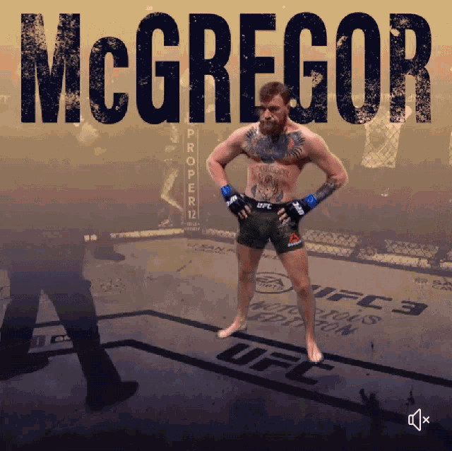 Connor Mc Gregor Ufc GIF - Connor Mc Gregor Ufc Fighter GIFs