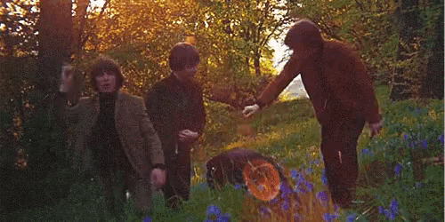 a group of people are standing in a field with purple flowers