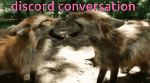 Foxes Talking GIF - Foxes Talking Discord GIFs