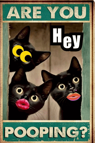a poster that says are you hey pooping with three black cats