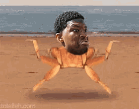 a crab with a man 's head on it and the website totalleh.com in the bottom right corner