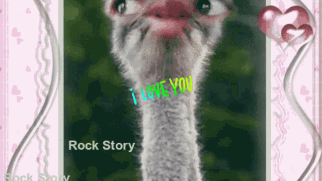 a picture of an ostrich with the words i love you written on it