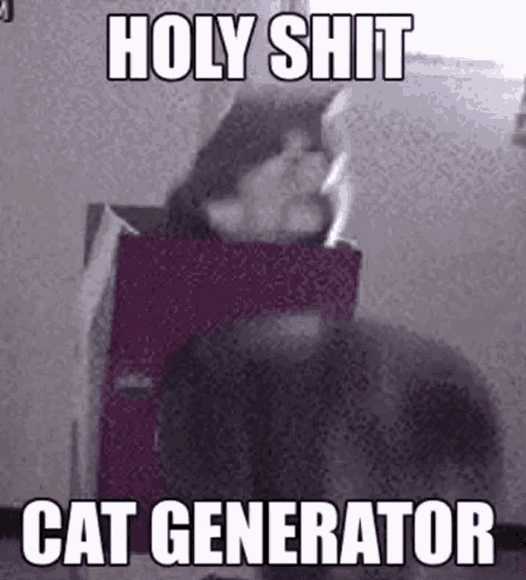 a cat is sitting in a box with the words `` holy shit cat generator '' on it .