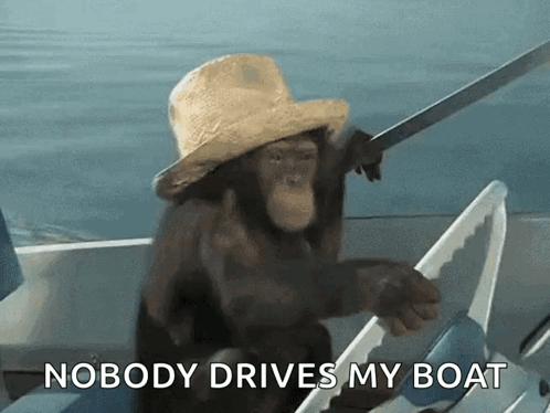 Monkey Boat GIF - Monkey Boat Driving GIFs
