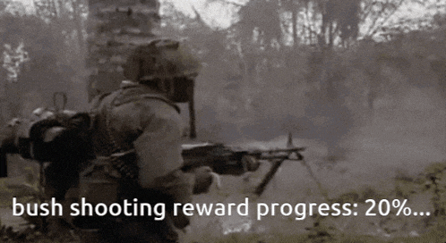 a soldier is holding a gun in a field and the words bush shooting reward progress : 20 %