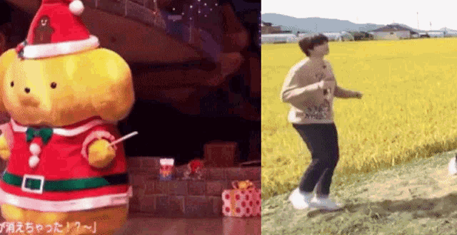 a stuffed animal dressed as a santa claus is standing next to a person dancing in a field .
