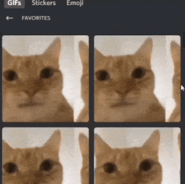 four pictures of a cat are displayed in a gifs sticker emoji favorites section