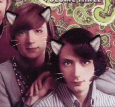 a group of young men with cat ears on their head