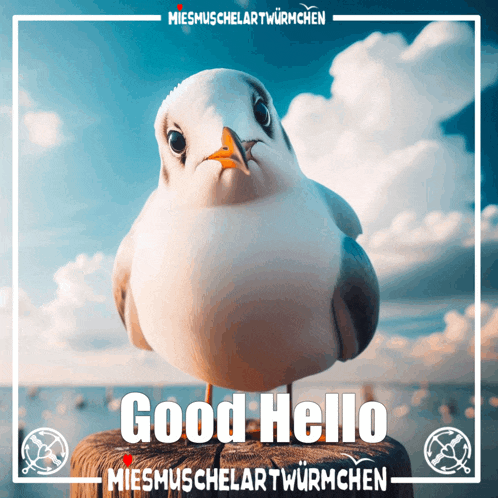 a picture of a seagull with the words " good hello " on the bottom