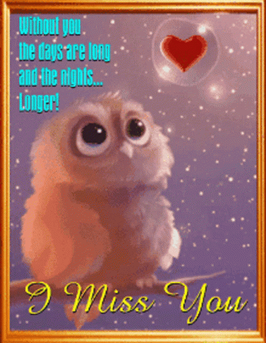 Missing You Owl GIF