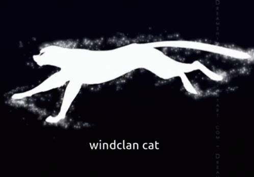 My Oc In Starclan Ru GIF - My Oc In Starclan Ru Windclan Cat GIFs
