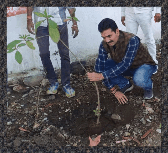 a man is kneeling down planting a tree in the dirt .