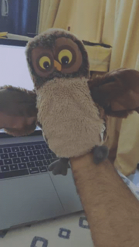 Owl Puppet GIF - Owl Puppet Embarrassed GIFs