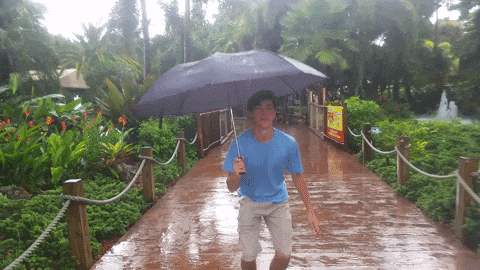 a man in a blue shirt is holding an umbrella