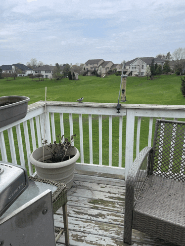 a deck with a bird feeder on it and a potted plant