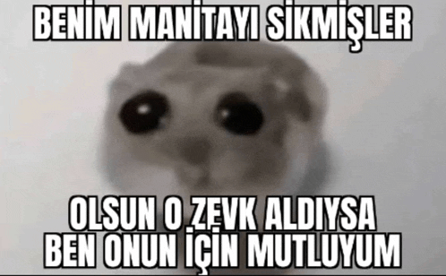 a picture of a hamster with a caption in a foreign language .