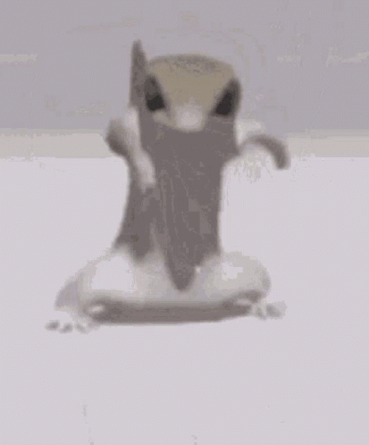 Lizard Dance Lizard GIF - Lizard Dance Lizard Gecko GIFs