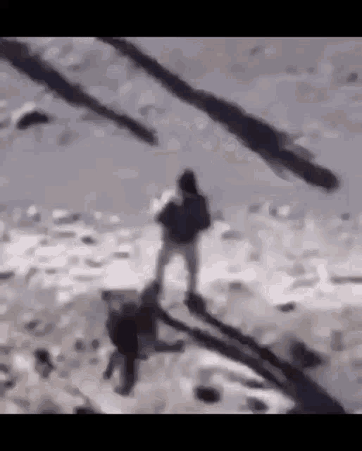 a blurry picture of a group of people standing on a snowy beach .