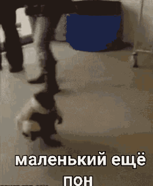 a person is standing next to a dog that is standing on its hind legs .