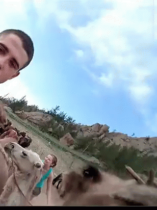 Hump Day Camel GIF - Hump Day Camel Double Take GIFs
