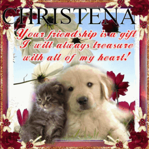 Christena I Value Your Friendship GIF - Christena I Value Your Friendship GIFs
