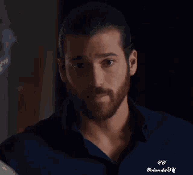 a man with a beard and a blue shirt is looking at the camera .