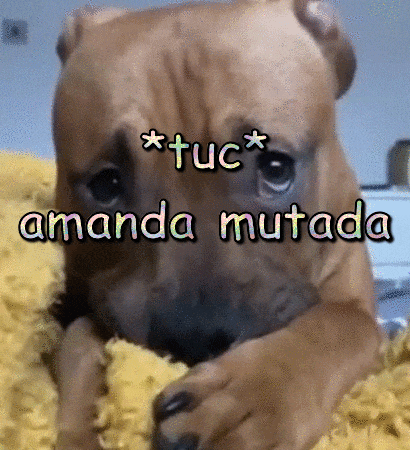 a brown dog is laying on a yellow blanket with the words * tuc * amanda mutada written on it