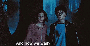 Wait Harry Potter GIF - Wait Harry Potter Hermioney GIFs