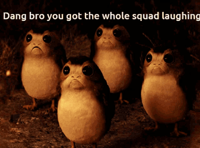 a group of birds with the words dang bro you got the whole squad laughing on the bottom
