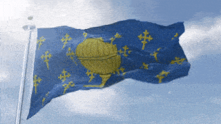 a blue and yellow flag with a globe on it