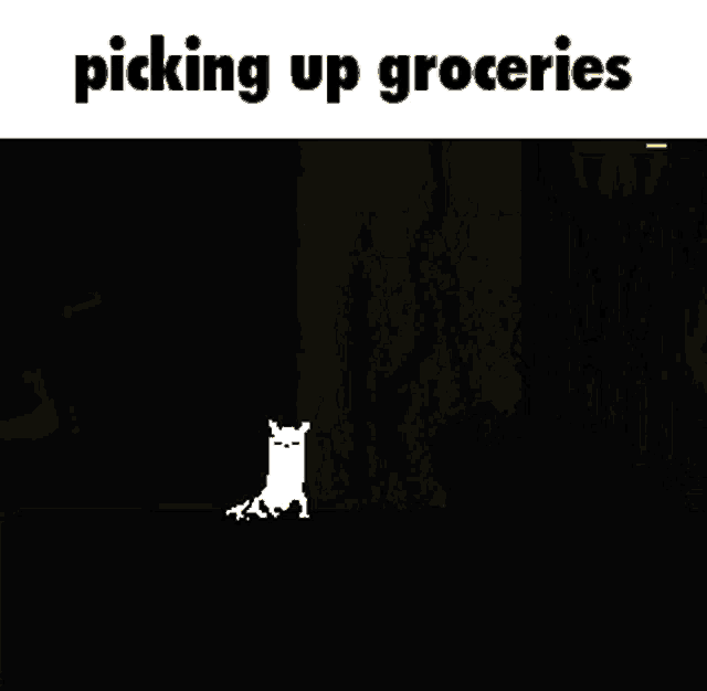 a white cat is walking in the dark and the words picking up groceries are above it