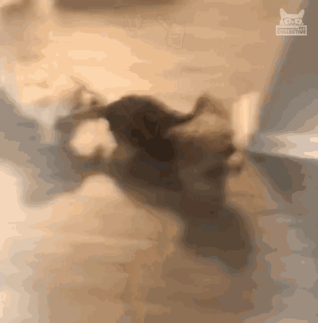 Come With Me Drag GIF - Come With Me Drag Where Are We Going GIFs