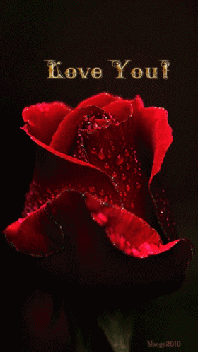 I Love You Red Rose GIF