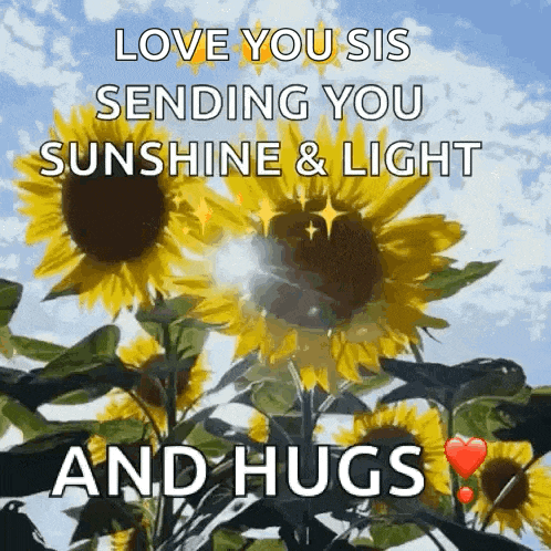 a bunch of sunflowers with the words love you sis sending you sunshine and light and hugs