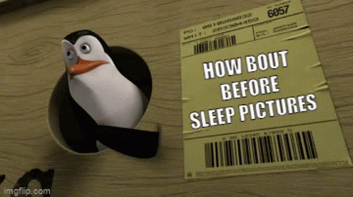 Before Sleep Picture Babe GIF - Before Sleep Picture Babe GIFs