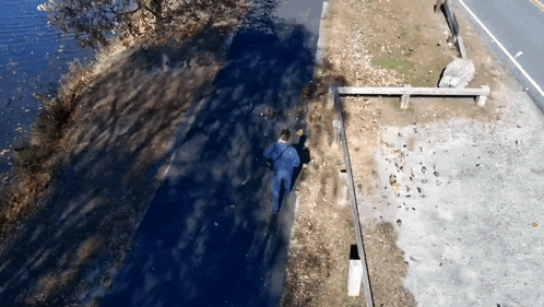 an aerial view of a person walking along a road near a body of water