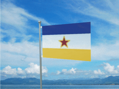 blue white and yellow flag with a red star on it