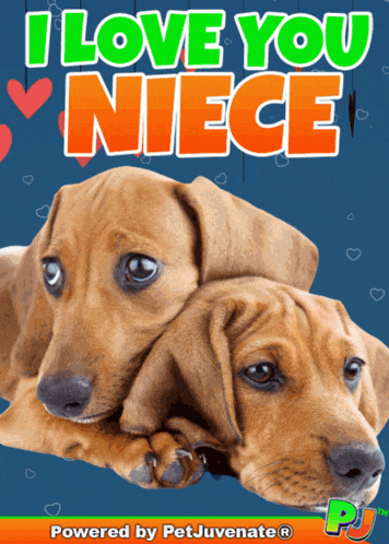 two dachshund puppies laying on top of each other with the words " i love you niece " above them