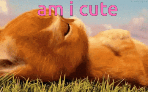 Am I Cute Be Mine GIF - Am I Cute Be Mine Puss In Boots GIFs