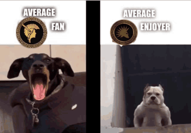 a picture of a dog with its mouth open and average fan and average enjoyer
