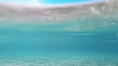 Swimming Just GIF - Swimming Just Keep GIFs