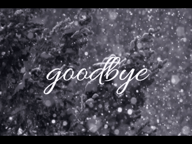 the word goodbye is written on a snowy surface