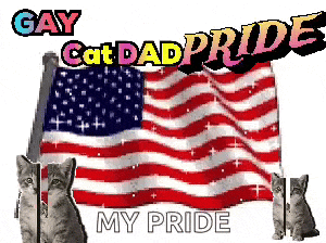 two cats are standing in front of an american flag with the words gay cat dad pride my pride