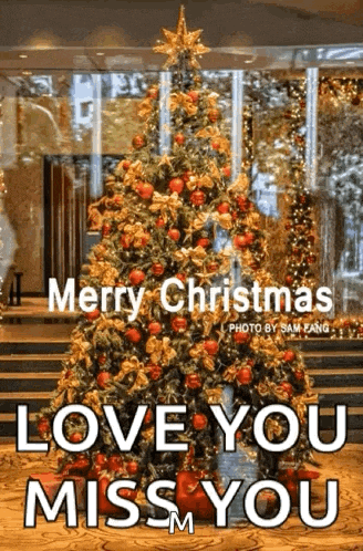 a merry christmas love you miss you message with a christmas tree in the background