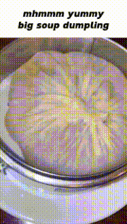 a picture of a dumpling in a steamer with the caption mhmm yummy big soup dumpling