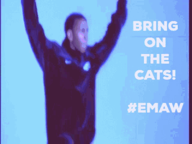Bring On The Cats Emaw GIF - Bring On The Cats Emaw Kstate GIFs