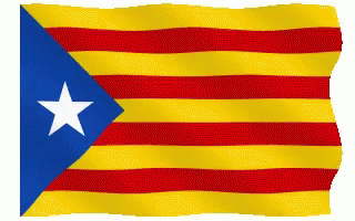 Catalan Catalonia GIF - Catalan Catalonia Flag GIFs
