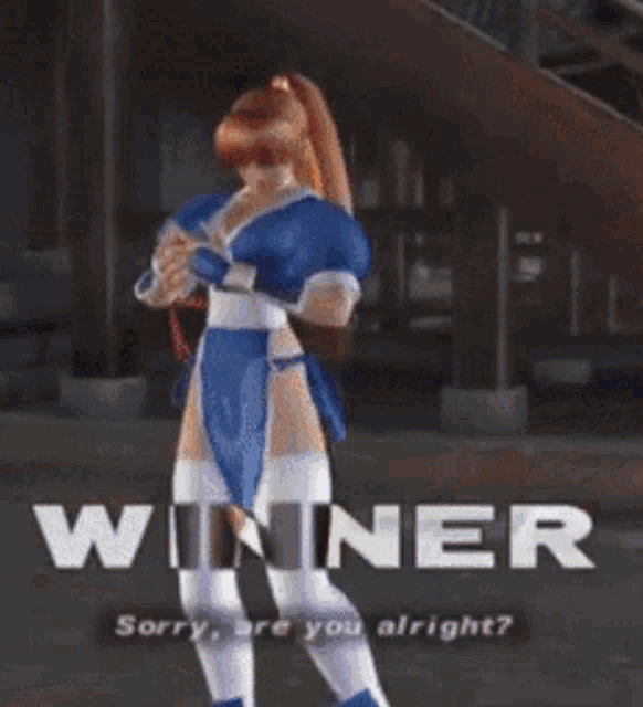 Dead Or Alive Fighting GIF - Dead Or Alive Fighting Fight GIFs