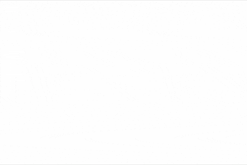 a logo for bundnis sahra wagenknecht with a white background
